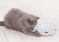 UFO-shaped smart interactive cat toy