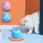 Smart interactive cat ball