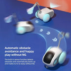 Smart interactive cat car