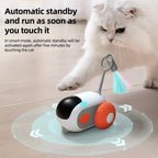 Smart interactive cat car
