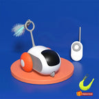Smart interactive cat car