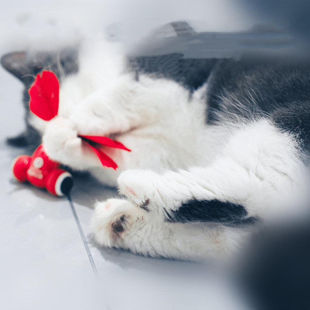 Ensemble de jouets intelligents pour chats