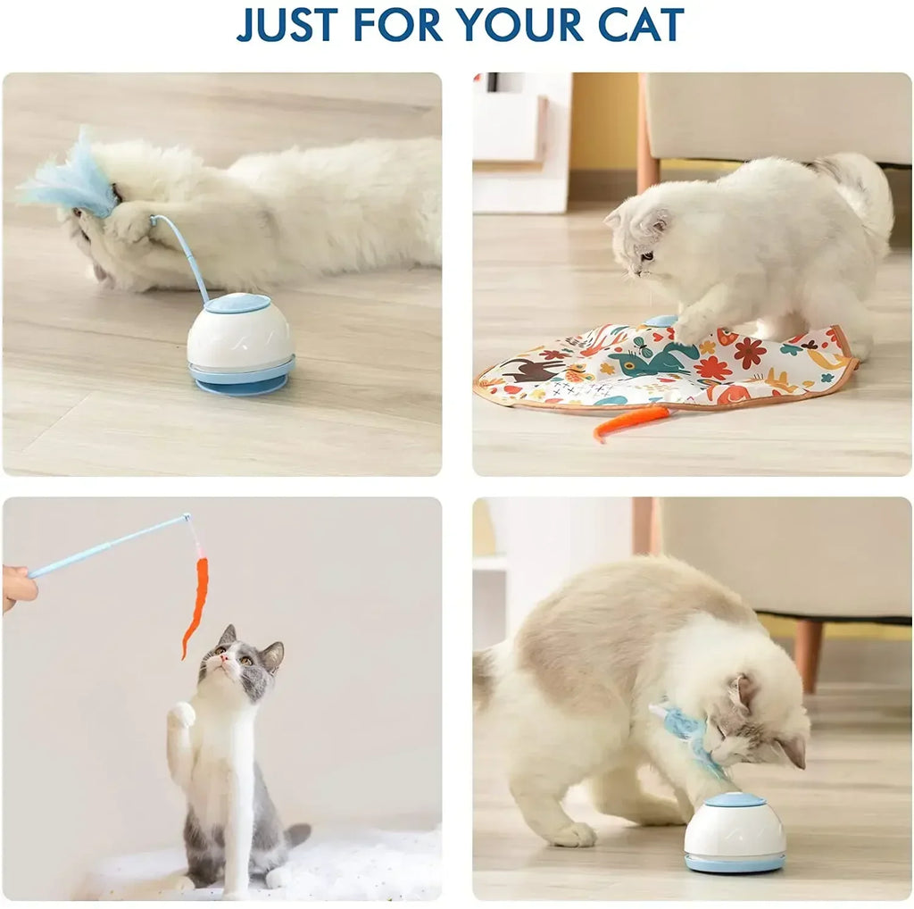 Smart cat toys
