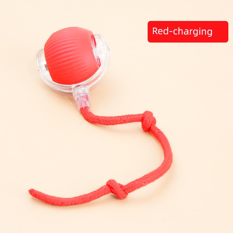 Smart interactive cat teaser ball