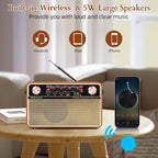 Portable AM/FM/SW radio with USB, TF and AUX