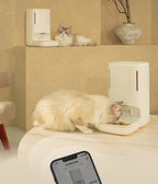 Smart automatic pet feeder with privacy camera